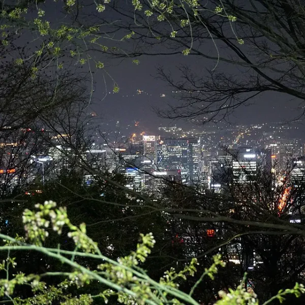 라운지 레이가든 홈타이 제휴업체 이미지