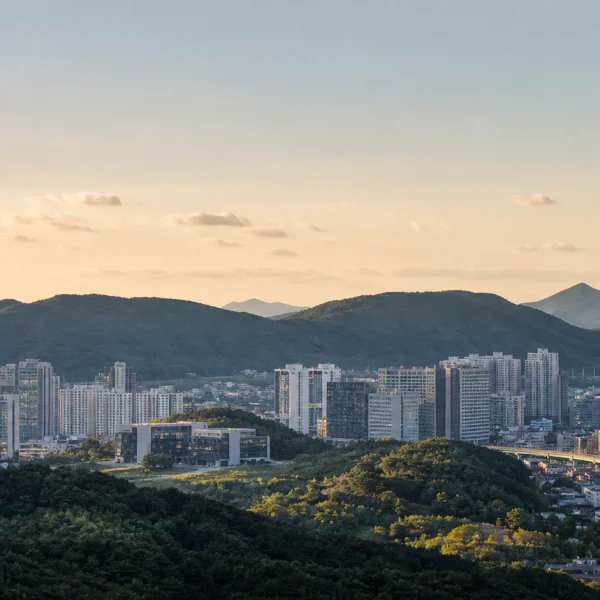 웰니스 리브테라스 테라피 대표 안내 이미지