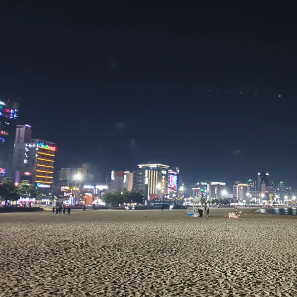 포레스트 보미아지트 테라피 대표 안내 이미지